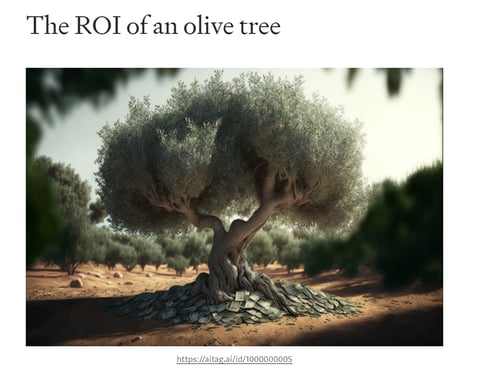 Blog article example